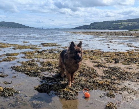 Beauly Firth