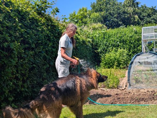 Josie&Ruth gardening